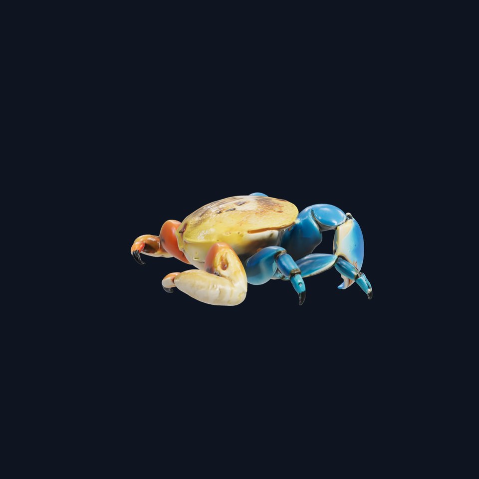 Blue Crab Model with Bright Blue Claws 3D Rendering